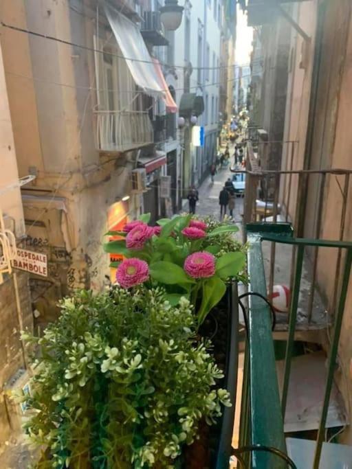La Casa Di Patta A Spaccanapoli Exterior foto